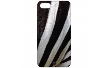 717 - zebra